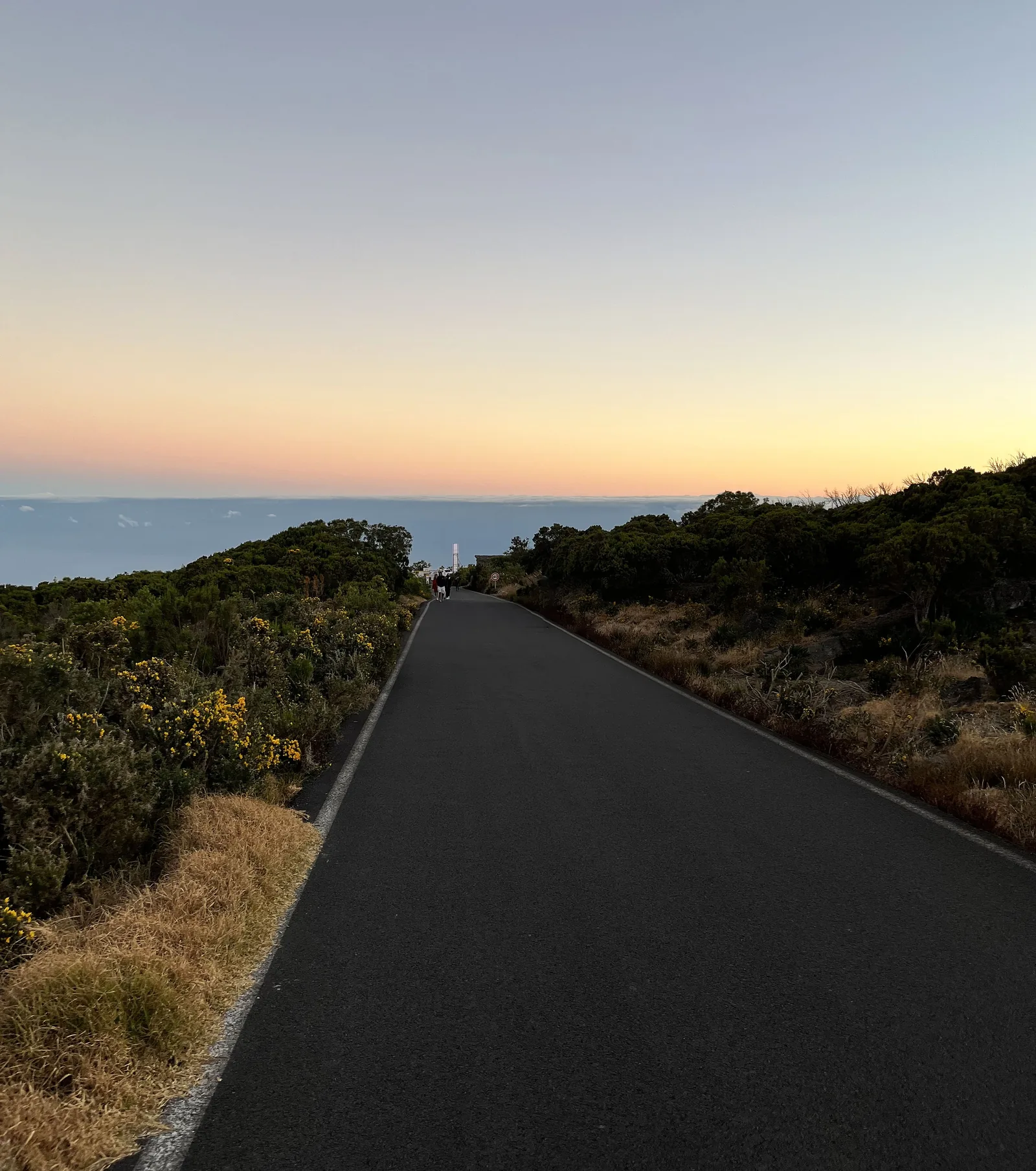 Route panoramique à La Réunion